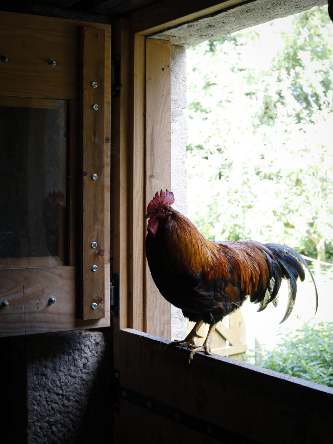 Moulin De La Rouchotte Bed and breakfast *